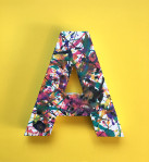 CREATE! Our Letter Project