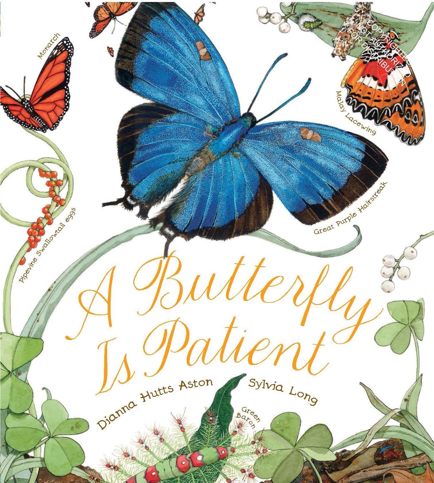 Coffee Filter Pointillism Butterflies