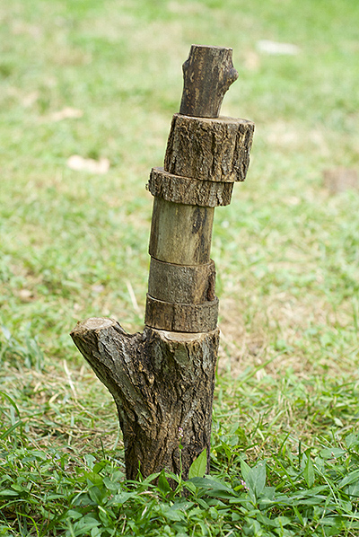 Making a tower with nature --- Earth's art :) Making a tower with nature --- Earth's art :)